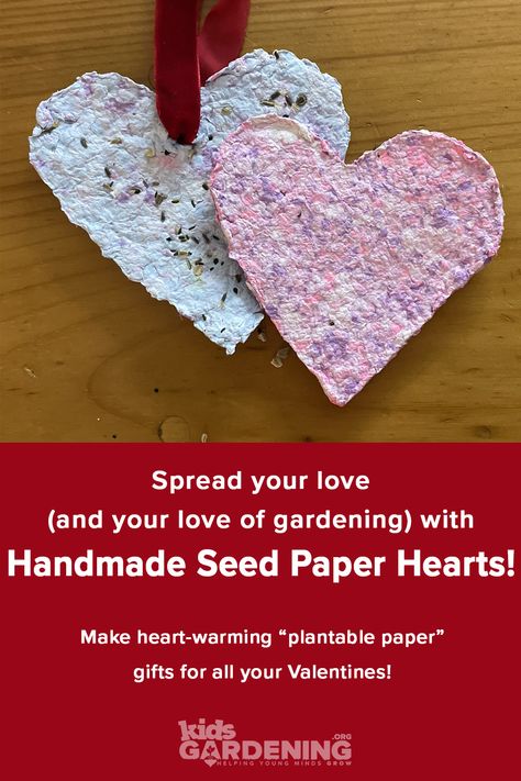 Homemade Seed Paper, Art Caddy, Paper Valentines, Flower Seed Paper, Homemade Paper, Plantable Paper, Gardening Projects, Plantable Seed Paper, Gift Making