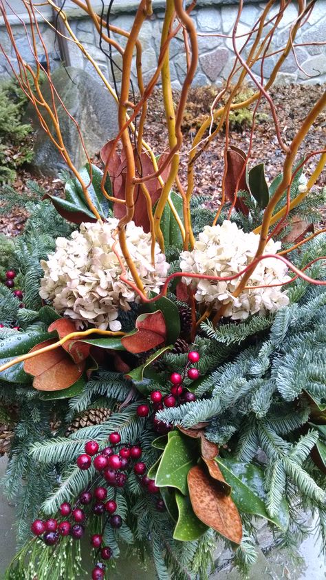 I love using dried hydrangea in winter containers Spray Painted Hydrangeas Christmas, Spray Painted Hydrangeas, Hydrangea In Winter, Winter Containers, Outside Christmas Decorations, Winter Decor, Spray Paint, Container Gardening, Hydrangea