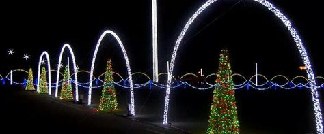 Shadricks Christmas Wonderland MB Christmas Light Festival, Driveway Arch Christmas Lights, Chrismass Lights, Christmas Yard Lights, Hometown Christmas, Trail Ideas, Myrtle Beach Trip, Durga Pooja, Christmas Lights Outside