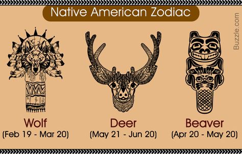 Native American Zodiac Wolf (Feb 19 - Mar 20) Deer (May 21 - Jun 20) Beaver (Apr 20 - May 20) Native American Zodiac Wolf, Tiger Tattoo Thigh, Symbols Tattoos, Native American Zodiac, Animal Tattoos For Men, Native American Animals, Animal Baby Room, Native American Tattoos, Native American Wolf