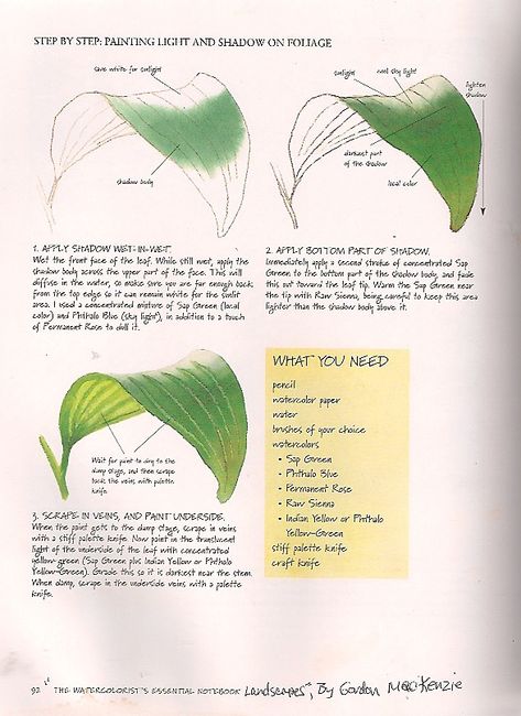 How To Color Leaf Colour Pencil, Plants Drawing Tutorial, Different Leaf Drawings, Leaf Painting Tutorial, How To Draw A Leaf, Plants Drawing, Color Theory Art, Learn Watercolor Painting, Flower Drawing Tutorials