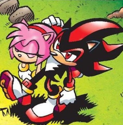 Shadamy Comics, Shadow And Amy, Amy The Hedgehog, Cartoon Books, Sonic And Amy, Sonic Funny, Sonic Franchise, Sonic And Shadow, Sonic Boom