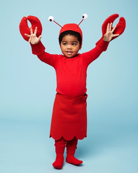 Lobster Costume | This cute costume comes together in a cinch with some felt, ping-pong balls, a pilot's cap, and a scalloped-edge skirt worn over a red t-shirt. Click for the how-to for this easy DIY kid's costume!  #halloween #halloweencostumes #marthastewart #kidscostume Creative Kids Halloween Costume, Lobster Halloween, Kids Halloween Costume Ideas, Crab Costume, Lobster Costume, Diy Fantasia, Kids Halloween Costume, Costume Carnaval, Ladybug Costume