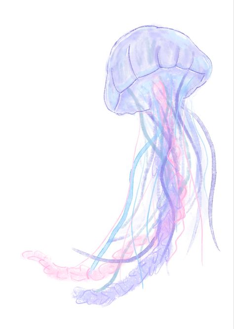 Doodle of a jellyfish made to be a sticker Moon Jellyfish Art, Jellyfish Png, Jellyfish Poster, Jellyfish Sticker, Jellyfish Pictures, Jellyfish Illustration, Stickers Ideas, Front Cover Designs, Jellyfish Tattoo