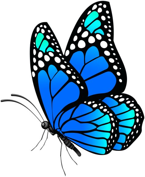 Butterfly Side View, Butterfly Art Drawing, Art Papillon, Blue Png, Butterfly Art Painting, Butterfly Blue, Art Butterfly, Butterfly Clip Art, Butterfly Pictures