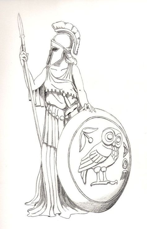 athena and owl tattoo idea Athena Shield Tattoo, Athena Greek Goddess Art, Greek Amphora Tattoo, Athena Sketch, Athena Drawing, Athena Shield, Athena Tattoos, Greek Goddess Athena, Athena Tattoo