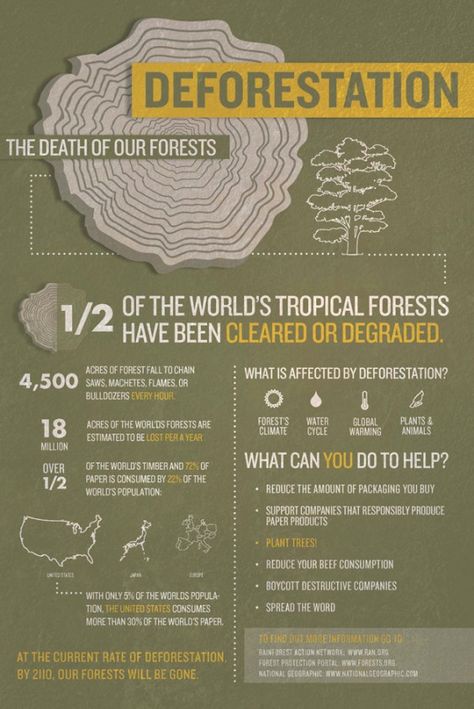 Deforestation Facts, Save Our Earth, Environmental Education, Environmental Awareness, Environmental Issues, Environmental Science, Save Earth, Earth Science, Earth Day