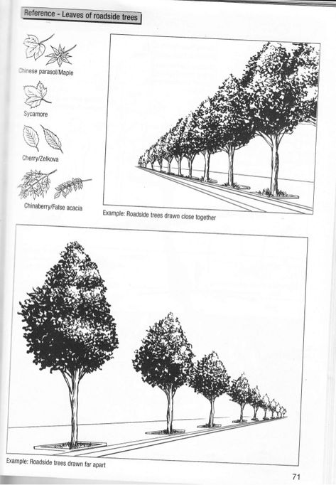 How to-draw-manga-vol-29-putting-things-in-perspective Tree In Perspective, Tree Perspective Drawing, Perspective Landscape Drawing, Trees Perspective, Tree Perspective, 2 Point Perspective Drawing, Architectural Trees, Perspective Architecture, Drawing Trees