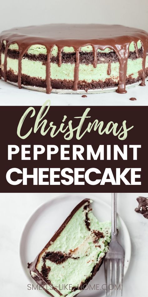 Peppermint Cheesecake is a perfect dessert for Christmas. It has a beautiful green color and a delicious mint flavor. It has a chocolate cookie crust and a silky ganache that make and amazing minty dessert! Christmas Dessert Recipes Peppermint, Mint Christmas Desserts, Green Christmas Desserts, Christmas Cookie Cheesecake, Mint Cheesecake Recipes, Cheesecake Types, Winter Cheesecake, Andes Mint Cheesecake, Festive Food Ideas