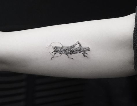 Cute Cricket Tattoo, Cricket Tattoo Small, Grasshopper Tattoo Design, Grass Hopper Tattoo, Grasshopper Tattoo Cute, Cricket Tattoo Design, Insects Tattoos, Grasshopper Tattoo, Cricket Tattoo