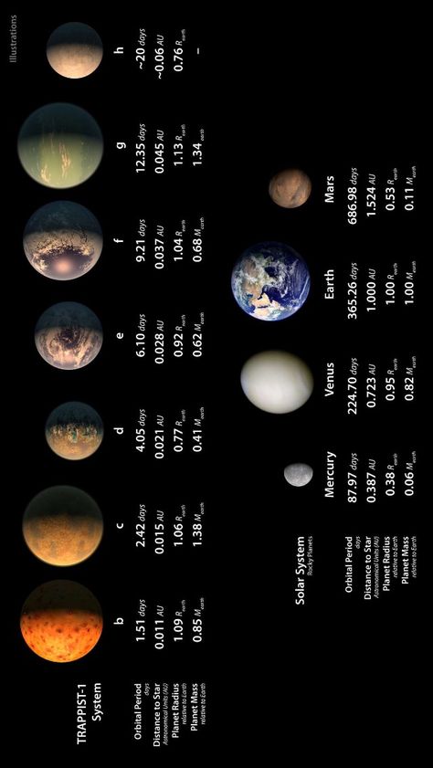 Trappist-1 System, Mars Illustration, Seven Planets, Space Things, System Wallpaper, Tata Surya, Beautiful Universe, Star Wars Planets, Astronomy Pictures