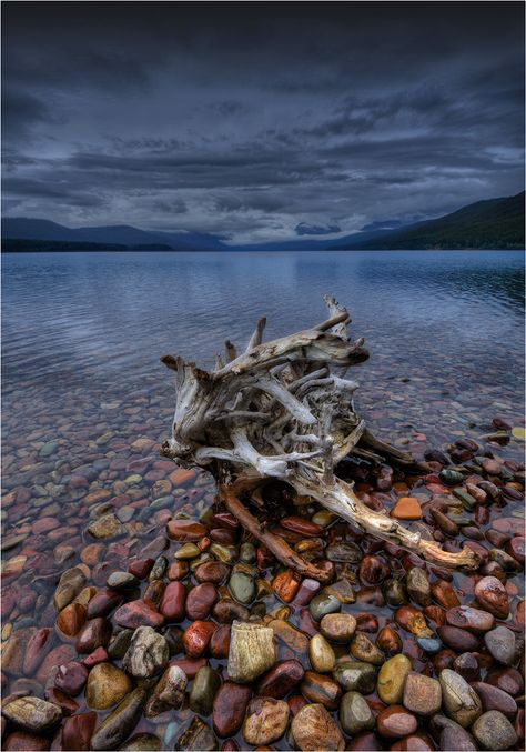 Lake McDonald, Montana, USA! Lake Mcdonald Montana, Many Glacier, Lake Mcdonald, Montana Usa, Gods Creation, Glacier National, Glacier National Park, Wildlife Photography, Wyoming