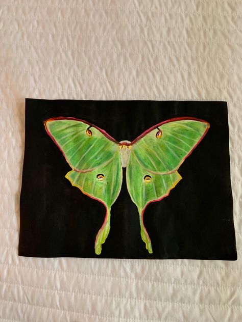 Moth Watercolor, Moth Painting, Lunar Moth, Needle Felting, Watercolor Painting, Moth, Insects, Plant Leaves, Watercolor Paintings