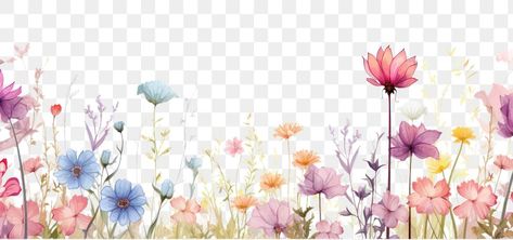 Spring Flower Border, Spring Flowers Watercolor, Png Border, Wild Flower Meadow, Flower Line Drawings, Minimalist Flowers, Flowers Watercolor, Pastel Flowers, Flower Border