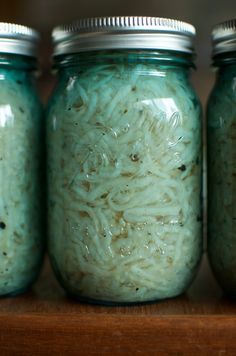 vertical jars of garlicky kohlrabi relish Canning Kohlrabi, Preserving Kohlrabi, Fermented Kohlrabi, Elven Food, Odd Recipes, Roasted Kohlrabi, Kohlrabi Recipes, Food In Jars, Fermented Veggies