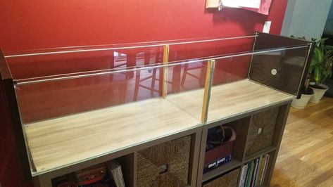 Create a cheap and huge gerbil cage from the IKEA DETOLF glass cabinet Ikea Detolf, Diy Rabbit Cage, Gerbil Cages, Mouse Cage, Diy Storage Rack, Glass Display Cabinet, Hamster Cages, Reptile Cage, Small Animal Cage