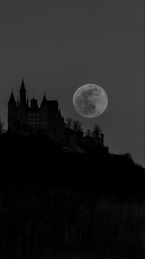 Gothic Castle Aesthetic, Dark Academia Widget, Learn More About Yourself, Dark Tide, Dark Forest Aesthetic, Dark Castle, Gothic Castle, Black Castle, Castle Aesthetic