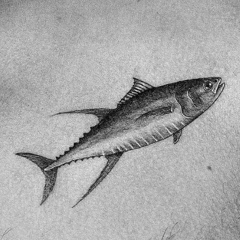 Yellowfin Tuna Tattoo, Small Fish Tattoos For Men, Sea Life Tattoos Men, Bluefin Tuna Tattoo, Ocean Tattoo Men, Cool Fish Tattoo, Tuna Fish Tattoo, Tarpon Tattoo, Wale Tattoos