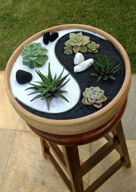 Kaktus Dan Sukulen, Fairy Garden Pots, Succulent Garden Design, نباتات منزلية, Succulent Garden Diy, Garden Indoor, Garden Decor Projects, Succulent Gardening, House Plants Decor