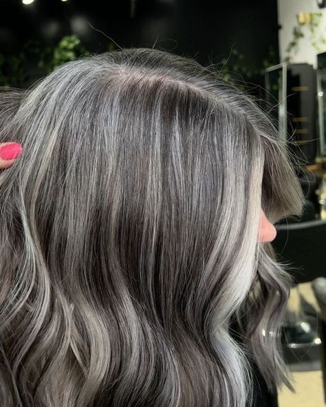 Ash Grey Toner Formula, Grey Hair Ideas Going Gray, Babylights To Blend Grey, Grey Blending Babylights, Salt And Pepper Balayage, Gray Roots Blending, Grey Hair Growing Out, Grey Hair With Brown Lowlights, Gray Blending Hair Dark Brown