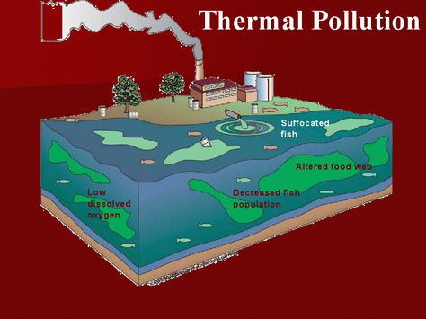 EFFECTS OF THERMAL POLLUTION Thermal Pollution, Chemistry Education, Cooling Tower, Noise Pollution, Water Pollution, Food Web, Human Activity, Classical Conversations, Water Temperature