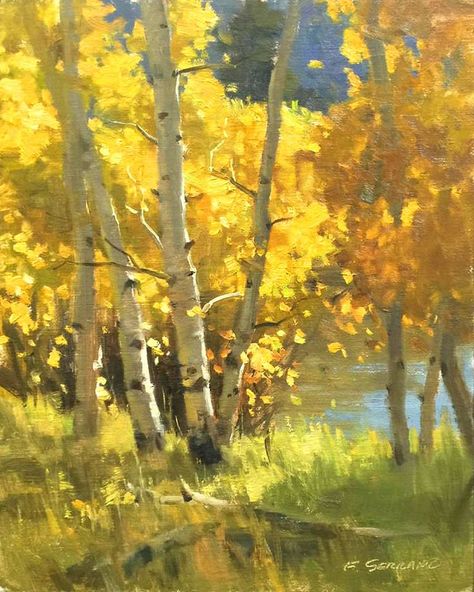 Home Fall Landscapes Acrylic, Bob Ross Autumn Paintings, Oil Painting Fall Landscape, Aspen Trees Painting, Birch Tree Oil Painting, Oil Painting Trees, Fall Landscape Painting, Autumn Painting Impressionism, Tree Painting Canvas