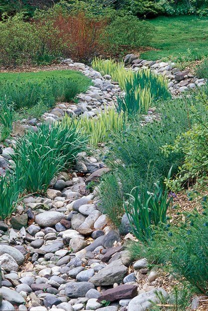 How to Design a Rain Garden | Garden Design Rain Garden Ideas, Rain Garden Design, Dry Stream, Rain Gardens, Dry Creek Bed, Dry River, Rain Collection, Creek Bed, River Bed