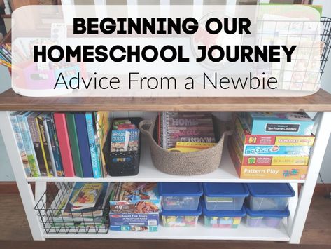 Homeschooling a 4 year old and 6 year old for the first time. Curriculum we chose and resources we are using. Homeschool Lesson Plans, Virtual School, Homeschool History, Homeschool Lesson, School System, Pattern Play, High Risk, Homeschool Resources, Public School