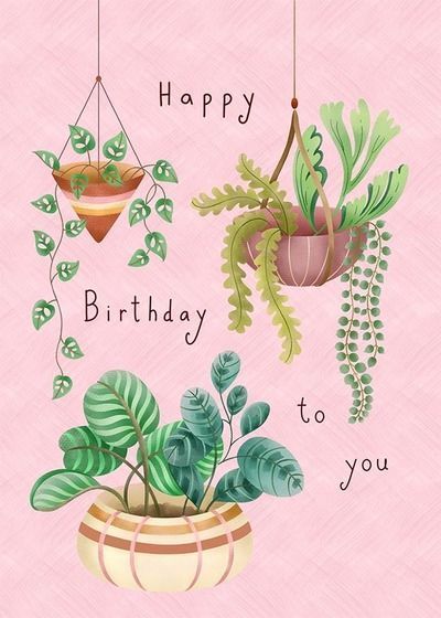 Happy Birthday Gif, Birthday Wishes Greetings, Birthday Clips, Cute Happy Birthday, Happy Birthday Friend, Happy Birthday Wishes Cards, Birthday Wishes And Images, Bday Cards, Advocate Art