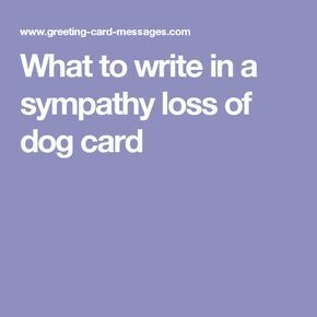 What to write in a sympathy loss of dog card Sympathy Letter, Writing A Sympathy Card, Sympathy Messages For Loss, Dog Cards Handmade, Sympathy Card Sayings, Pet Loss Cat, Loss Of Cat, Dog Sympathy Card, Cat Sympathy