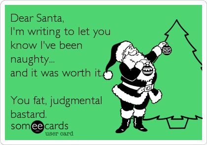 Dear Santa, I'm writing to let you know I've been naughty... and it was worth it. You fat, judgmental bastard. Christmas Memes Funny, Christmas Memes, Santa Clause, Clipuri Video, E Card, Someecards, Dear Santa, Christmas Treats, Christmas Season