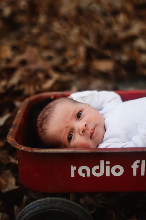 Newborn Fall Pictures, Fall Newborn Photos, Milestone Photoshoot, Outdoor Newborn Photography, Fall Newborn, Fall Baby Pictures, November Baby, Toddler Photoshoot, Monthly Baby Pictures