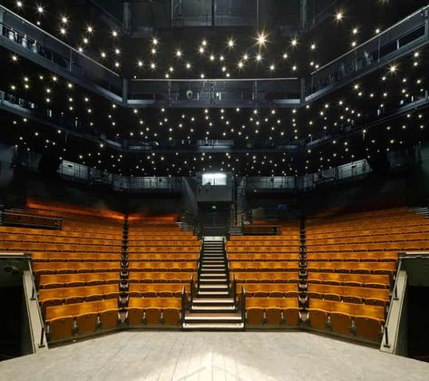 Thrust Stage, Guthrie Theater, Stratford Festival, The Crucible, Billiards Pool, Chichester, House Of Fraser, Concert Hall, West End