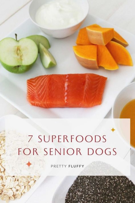 List Of Superfoods, Super Foods List, Senior Dog Food Recipes, Dog Birthday Cake, Superfood Recipes, Senior Dogs, Dog Nutrition, Dog Diet, Healthy Dog Food Recipes