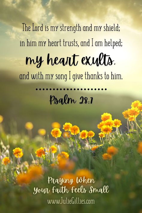 Psalm 28:7 Prayer - Lord, when I feel weak and overwhelmed, help me to remember that You are my strength and shield. I don’t have to figure everything out. I don’t have to worry. I don’t have to stress. I can and will trust You, rely on You, and confidently lean on You. Thank you for helping me, Lord. In the strong name of Jesus, Amen. Devotional Blog Post - Praying When Your Faith Feels Small My Help Comes From The Lord, Psalm 28:7, I Feel Weak, Psalms 28 7, Encouragement Box, Prayer For Strength, Psalm 7, The Lord Is My Strength, Max Lucado