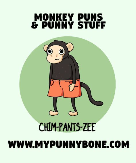 70+ Funny Monkey Puns And Punny Stuff – MyPunnyBone Monkey Puns, Capuchin Monkeys, Puns Funny, Expressive Faces, Sea Monkeys, Capuchin Monkey, Grease Monkey, Funny Monkey, Love Fairy