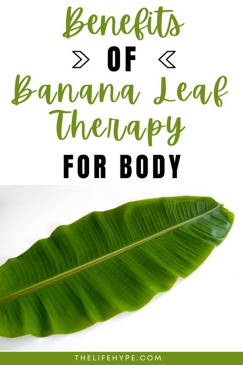 In this post, we’ll talk about Banana Leaf Therapy, also known as Banana Leaf Bath, used in naturopathy and how you can DIY it! Banana Leaf Recipe, Burning Bay Leaves, Banana Uses, When To Plant Vegetables, Banana Benefits, Ancient Healing, Medicinal Herbs Garden, Teacup Crafts, Herbs Garden