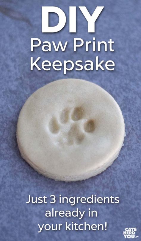 Dog Paw Print Craft, Diy Paw Print, Diy Jouet Pour Chat, Paw Print Keepsake, Paw Print Crafts, Katt Diy, Paw Print Art, Kat Diy, Chat Diy