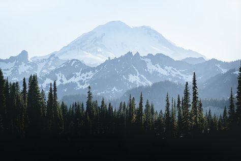 green pine trees near snow covered mountain during daytime photo – Free Plant Image on Unsplash Desktop Wallpaper Mountains, Yosemite Tunnel View, Nature Desktop Wallpaper, 2k Wallpaper, Wallpaper Computer, Boreal Forest, Fantasy Worlds, Mountain Wallpaper, Latest Hd Wallpapers