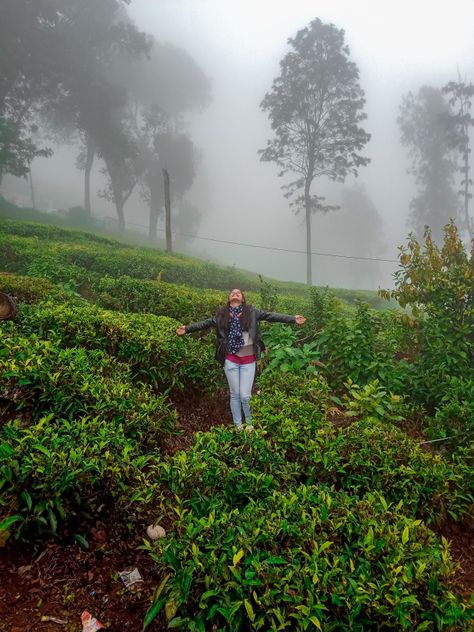 COONOOR- A SANCTUARY OF TRANQUILITY | The Globetrotter Sush Yercaud Photoshoot, Hike Photography, Definition Of Beauty, Travel Pose, Travel Pictures Poses, Munnar, Selfie Photography, Self Portrait Poses, The Mundane