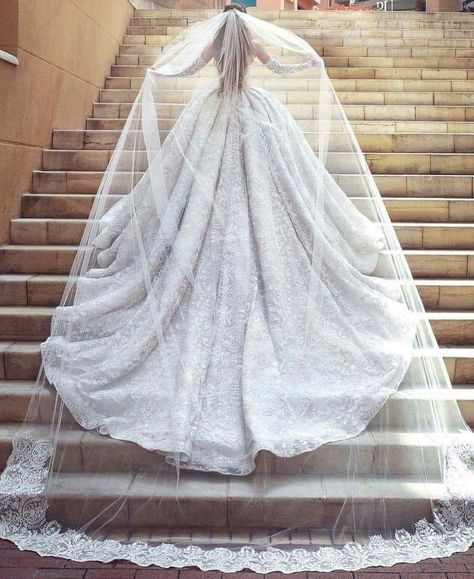 Wedding Dress Cathedral Train, Dress Train, Long Train Wedding Dress, Cathedral Train, Wedding Dress With Veil, White Wedding Dress, A Wedding Dress, Princess Wedding Dresses, Princess Wedding