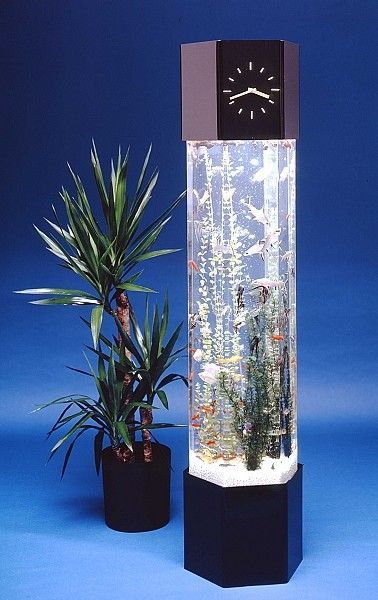 If you are thinking of adding an aquarium to your space don’t assume that you are limited to the ordinary square or rectangular boxes of the past, not that there’s anything wrong with t… Vertical Fish Tank, Fish Tank Ideas, Baroque Chair, Wall Aquarium, Amazing Aquariums, Neutral Flooring, Cool Fish Tanks, Wine Bottle Lamp, Cool Fish