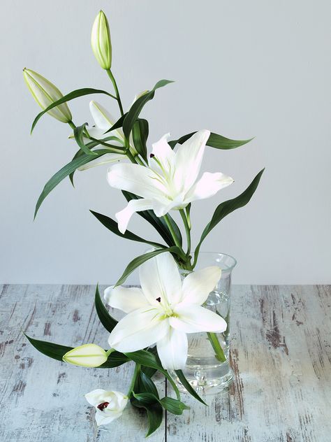 Lilies Flower Arrangements, Casablanca Lilies, Lily Arrangement, Casablanca Lily, Lily Centerpieces, Wilted Flowers, Asiatic Lilies, Lily Wedding, Lily Bouquet