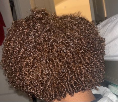 Golden Brown Hair Black Women, Honey Dark Brown Hair, Honey Blonde Hair On Black Women Natural, Afro Hair Dye, Brown Afro, Dark Brown Hair Dye, Honey Brown Hair Color, Black Hair Tips, Highlights Curly Hair