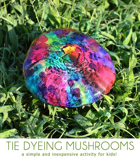 Keep an eye out and entertain the kids on the cheap and tie dye mushrooms! Fun Mushrooms, Tie Dye Mushroom, Diy Projects For Adults, Colorful Mushrooms, Pine Cone Christmas Tree, Holiday Crafts For Kids, Kid Craft, Work Diy, Fun Crafts For Kids