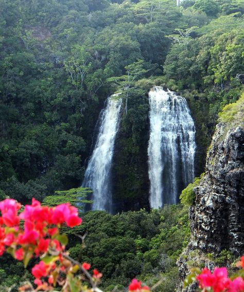 Hawaiian Vacation, Hawaii Life, Kauai Hawaii, Hawaii Vacation, Hawaiian Islands, Hawaii Travel, Pretty Places, Lush Green, Beautiful Islands