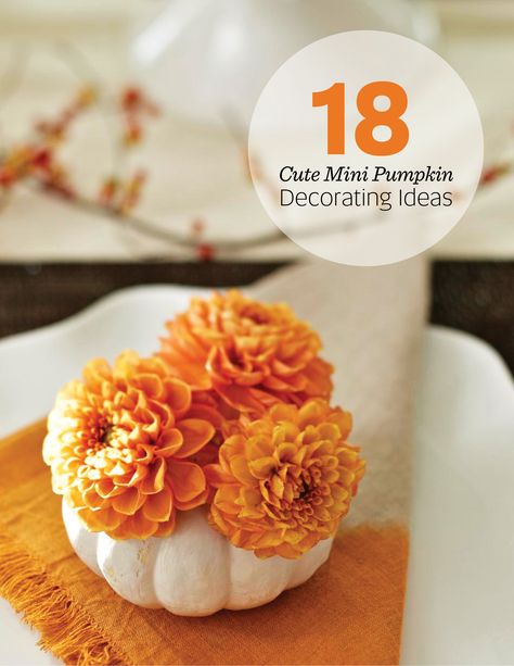 18 adorable mini pumpkin decorating ideas: http://www.midwestliving.com/homes/seasonal-decorating/how-to-decorate-with-mini-pumpkins/ Mini Pumpkin Ideas, Mini Pumpkin Decorating Ideas, Mini Pumpkin Decorating, Pumpkin Decorating Ideas, Carved Pumpkins, Fall Decorating Ideas, Orange Table, Midwest Living, Faux Leaf