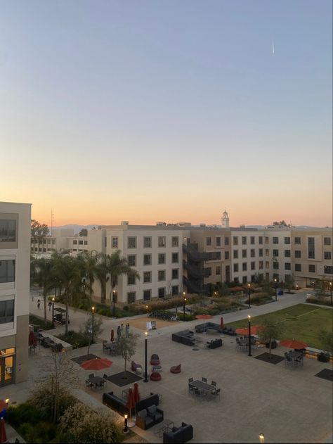 LMU Palm Quad Loyola Marymount University Aesthetic, Lmu University, Loyola Marymount University, Dream College, Cali Girl, Grad Photos, College Campus, 2024 Vision, School College