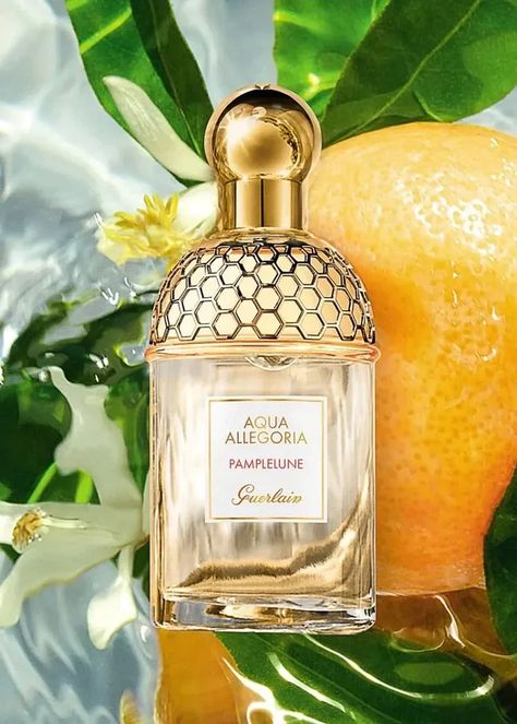 Old Money Perfume, Coffee Uses, Best Fragrances, Luxury Perfume, Fragrance Collection, Old Money Aesthetic, Citrus Fruit, Floral Fragrance, Sun Kissed