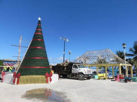 Christmas is coming on Ambergris Caye, Belize San Pedro Belize, Ambergris Caye Belize, Boat Parade, Ambergris Caye, Christmas Is Coming, San Pedro, Central Park, Belize, The Tree